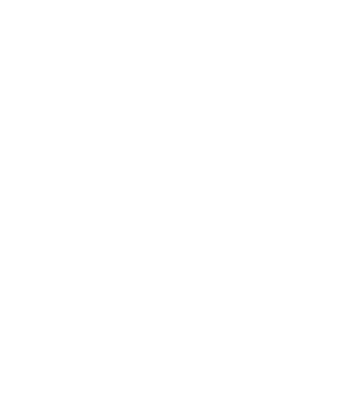 The 18th Ward